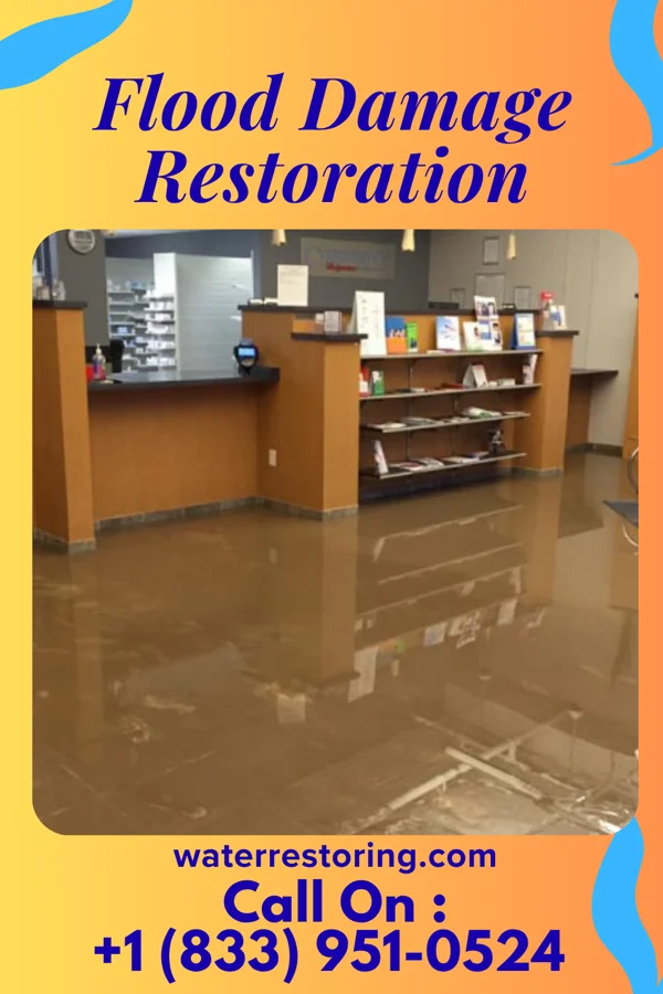 Flood Damage Restoration in Lebanon, IL