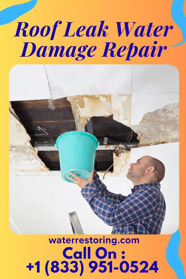 Roof Leak Water Damage Repair in Lebanon, IL